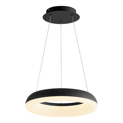 1 Light Pendant
