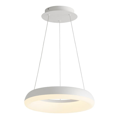 1 Light Pendant