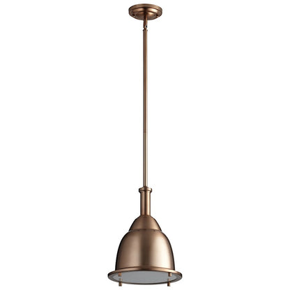 1 Light Led Pendant