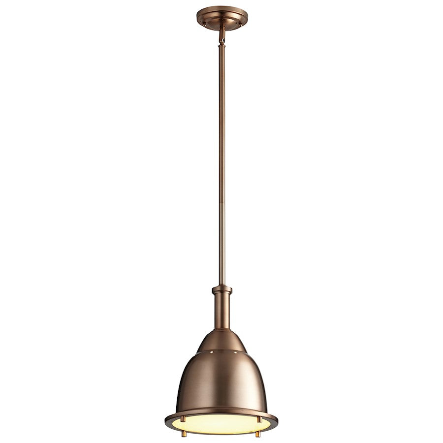 1 Light Led Pendant