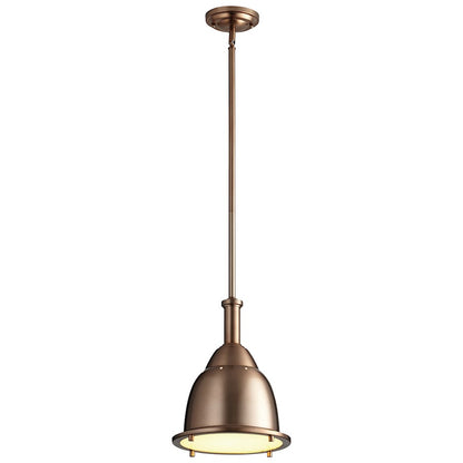 1 Light Led Pendant