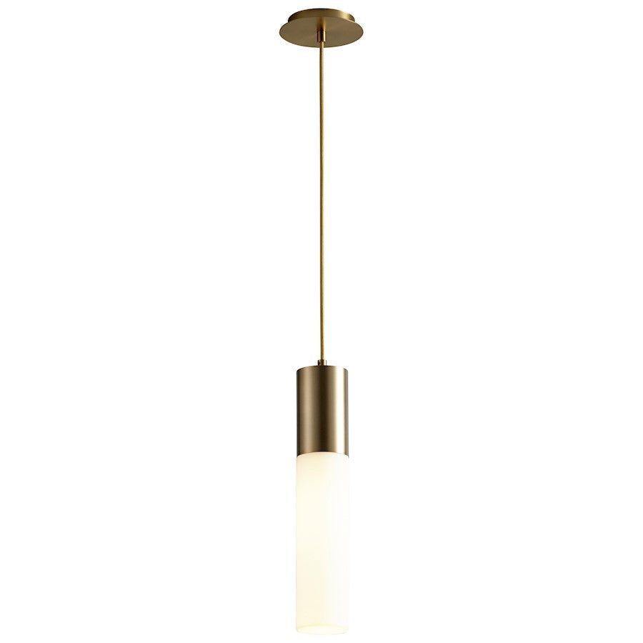 1 Light Pendant