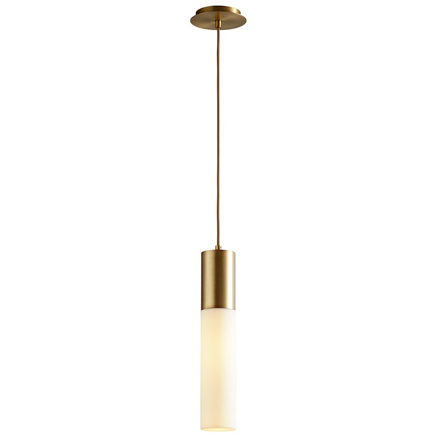 1 Light Pendant