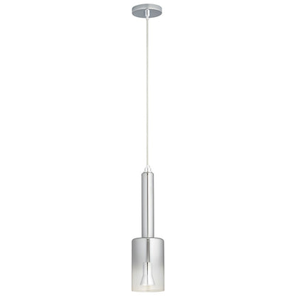 1 Light Pendant