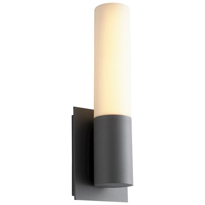 1 Light Outdoor Wall Sconce
