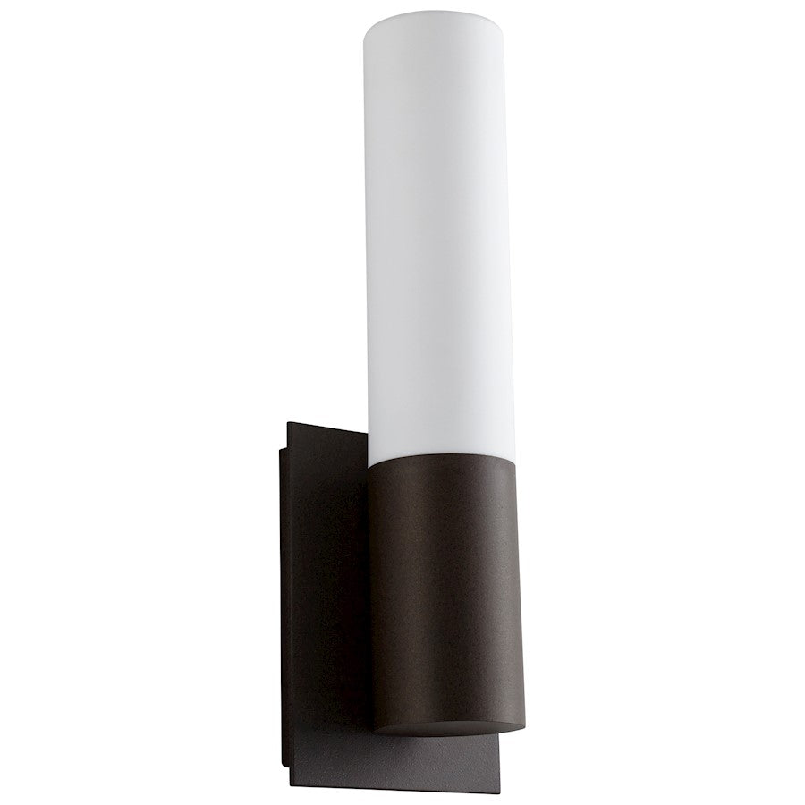 1 Light Outdoor Wall Sconce