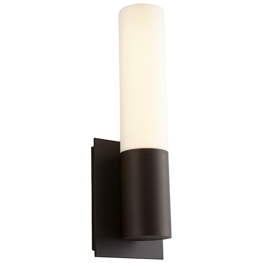 1 Light Outdoor Wall Sconce