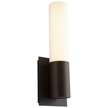 1 Light Outdoor Wall Sconce