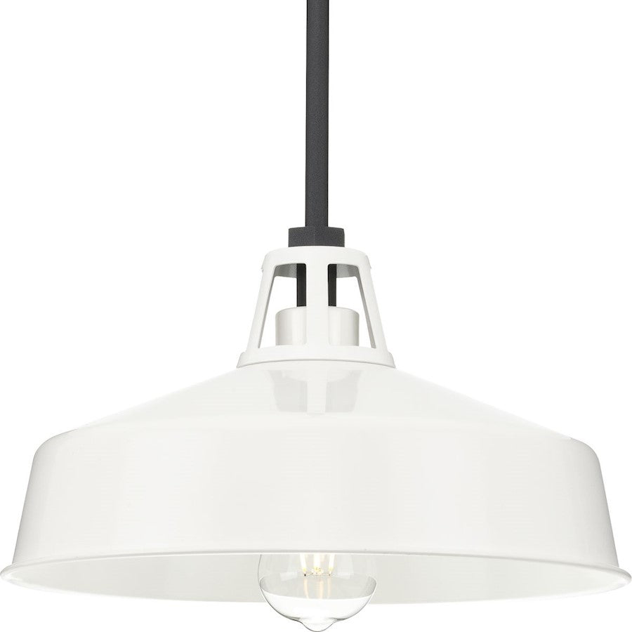 Progress Lighting Cedar Springs 1-Lt Bk Outdoor Hanging Light