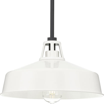 Progress Lighting Cedar Springs 1-Lt Bk Outdoor Hanging Light