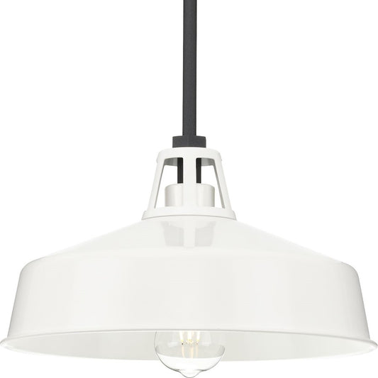 Progress Lighting Cedar Springs 1-Lt Bk Outdoor Hanging Light