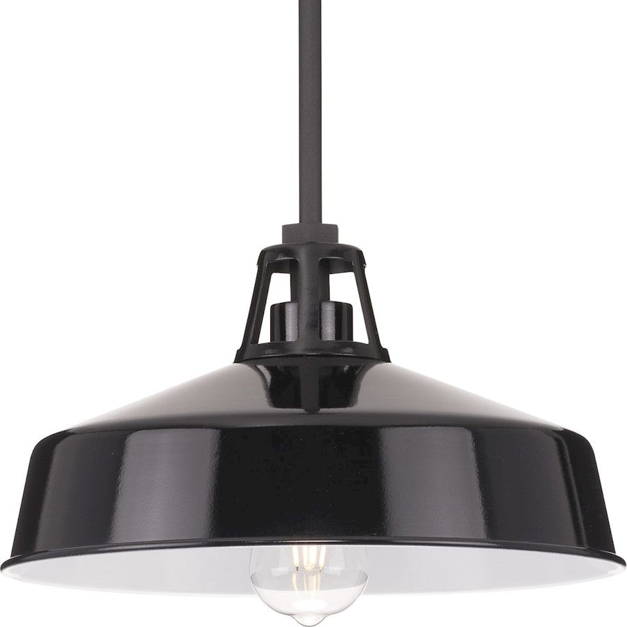 Progress Lighting Cedar Springs 1-Lt Bk Outdoor Hanging Light