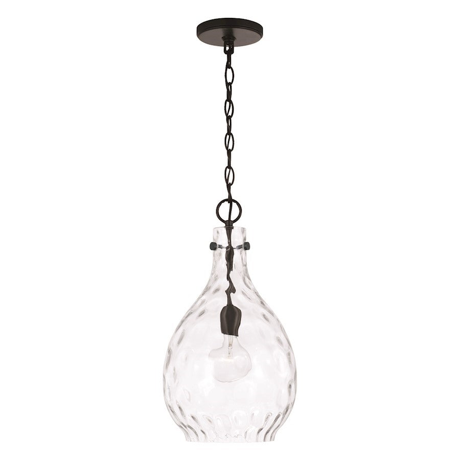OPEN BOX: HomePlace Lighting Brentwood 1 Light Pendant, Black/Water - 349012MB