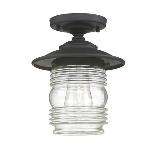 OPEN BOX:Capital Lighting Creekside 1 Light Outdoor Ceiling, 10", Black, Clear