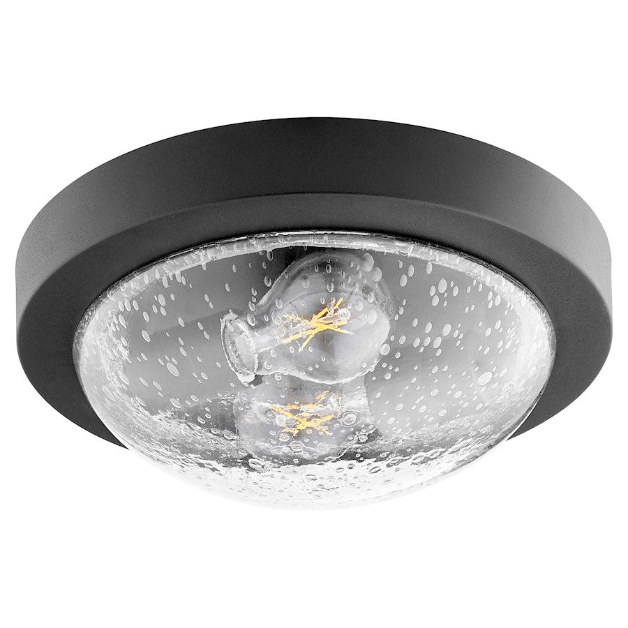 Quorum 2 Light 11" Ceiling Mount, Noir/Clear/Seeded