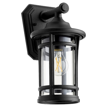 1 Light Outdoor Lantern, Clear