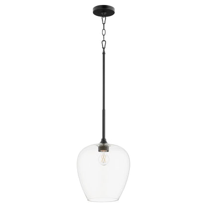 1 Light Pendant