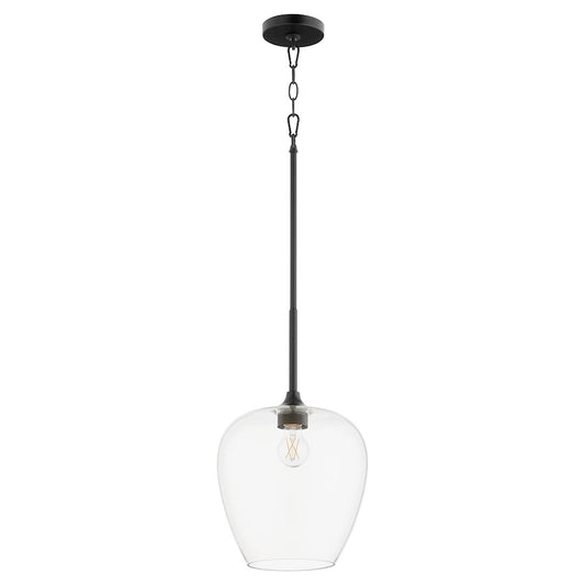 1 Light Pendant