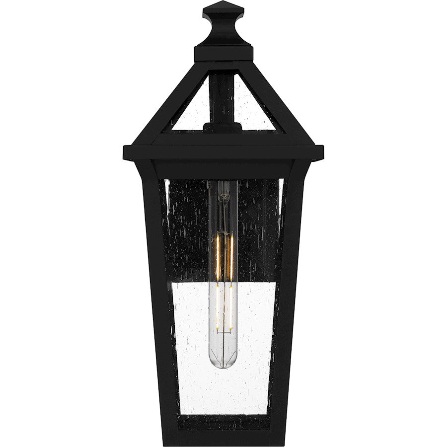 Quoizel Boulevard 1 Light 18" Outdoor Lantern, Black/Clear Seedy