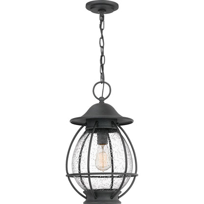 Quoizel Boston 1 Light Outdoor Hanging Lantern, Mottled Black