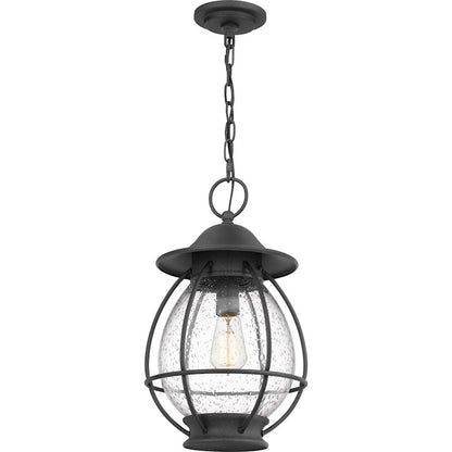 Quoizel Boston 1 Light Outdoor Hanging Lantern, Mottled Black