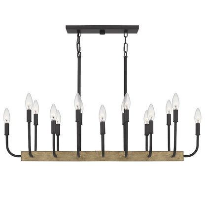 Quoizel Coda Linear 16 Light Chandelier, Earth Black