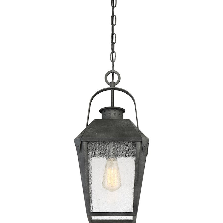 Quoizel Carriage 1 Light Large Outdoor Hanging Lantern, Mottled Black