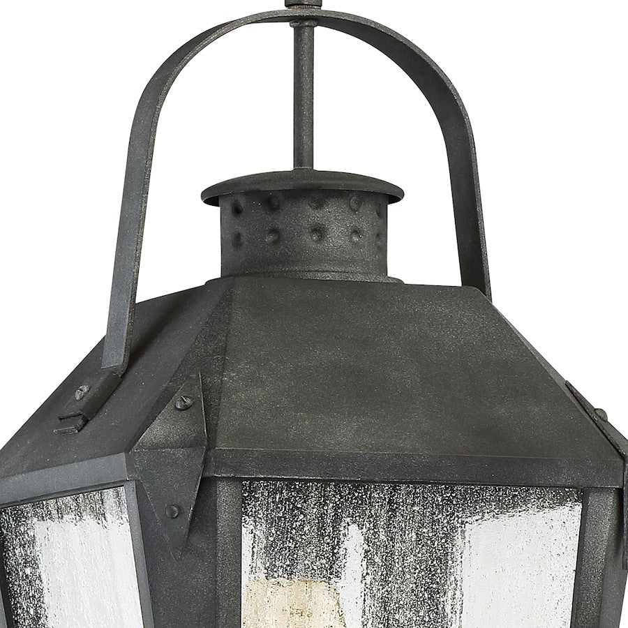 Quoizel Carriage 1 Light Large Outdoor Hanging Lantern, Mottled Black