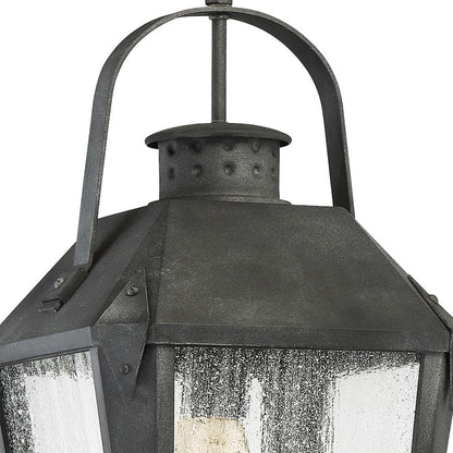 Quoizel Carriage 1 Light Large Outdoor Hanging Lantern, Mottled Black