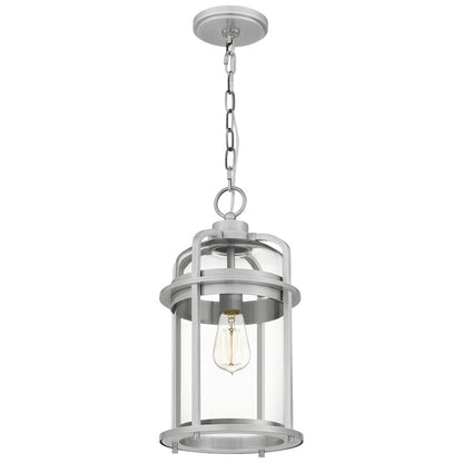 Quoizel Carrington 1 Light Outdoor Hanging Lantern, Aluminum