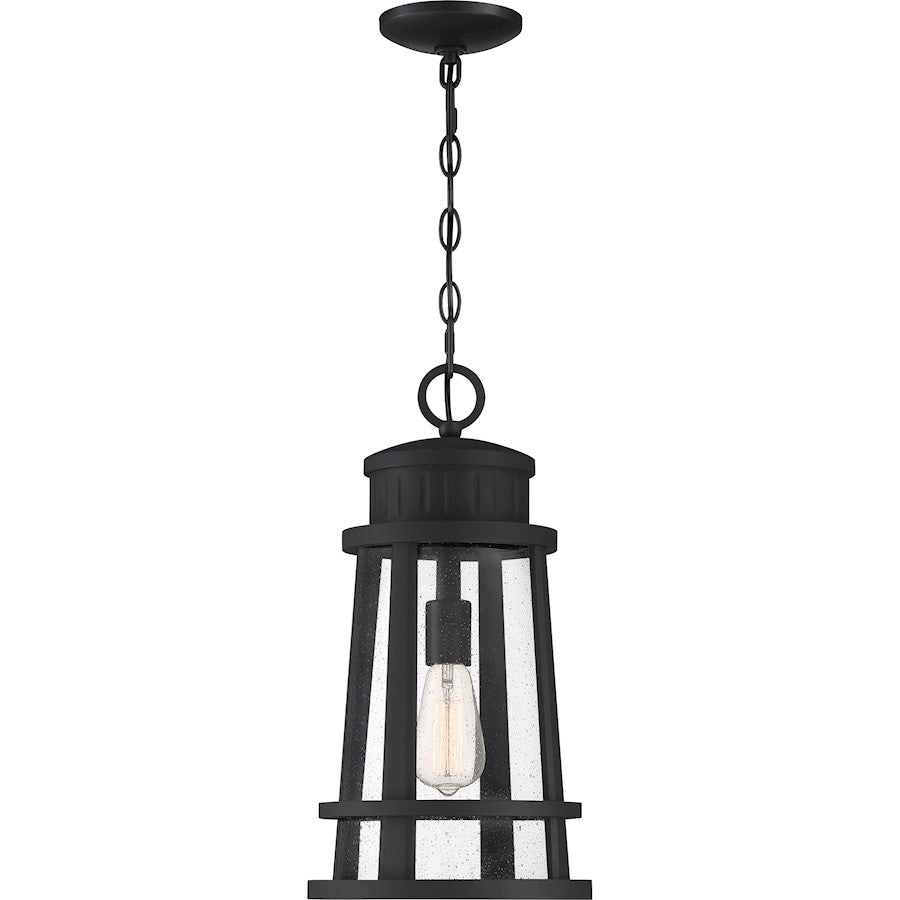 Quoizel Dunham 1 Light Outdoor Hanging, Earth Black/Seeded Glass