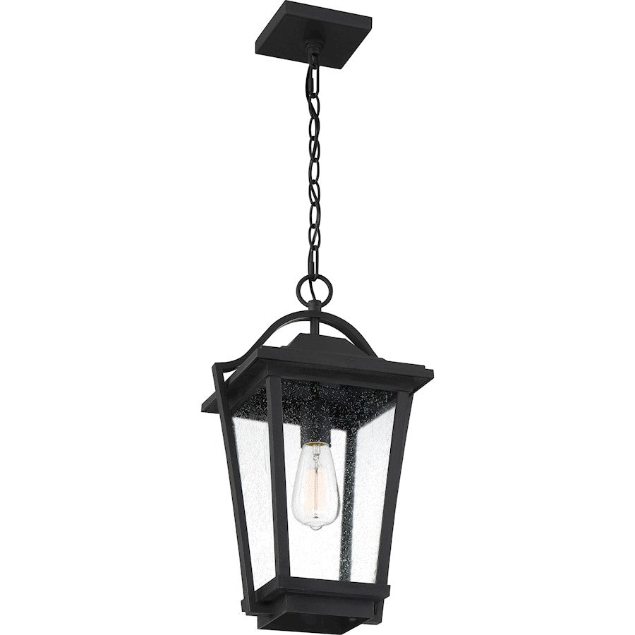Quoizel Darius 1 Light 11" Outdoor Lantern, Earth Black