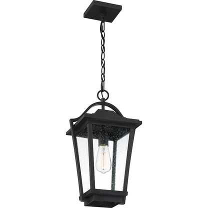 Quoizel Darius 1 Light 11" Outdoor Lantern, Earth Black