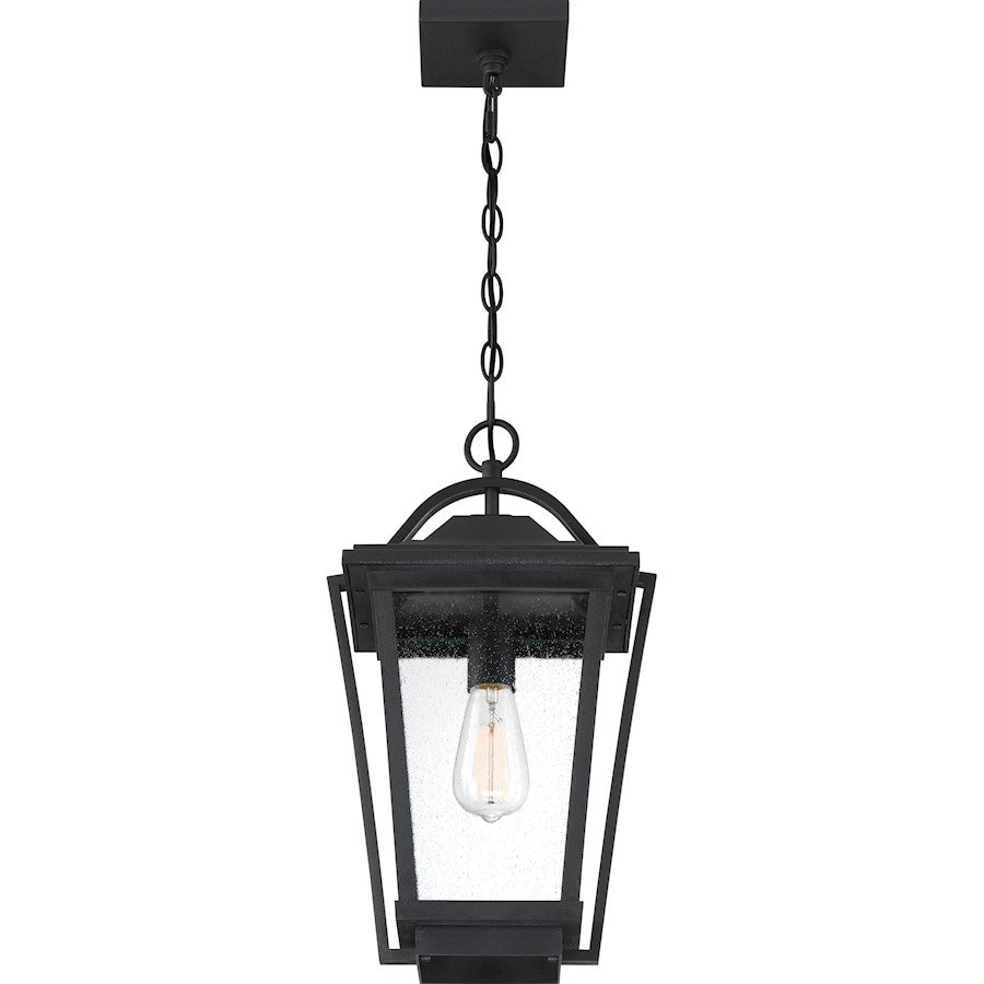 Quoizel Darius 1 Light 11" Outdoor Lantern, Earth Black