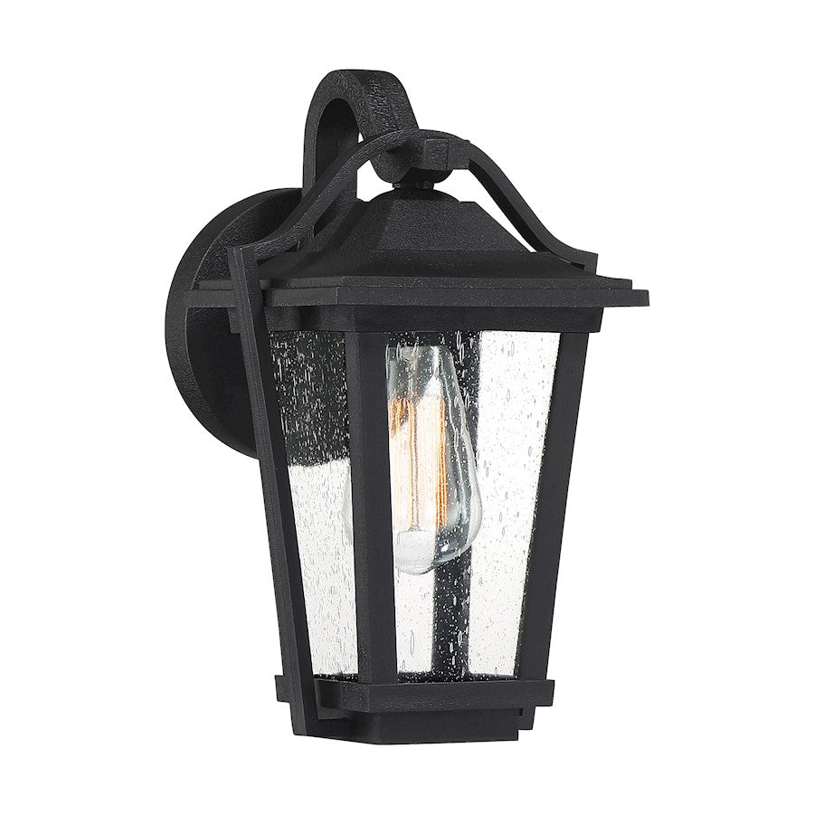 Quoizel Darius 1 Light Outdoor Lantern, Earth Black