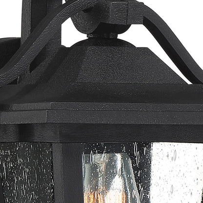 Quoizel Darius 1 Light Outdoor Lantern, Earth Black