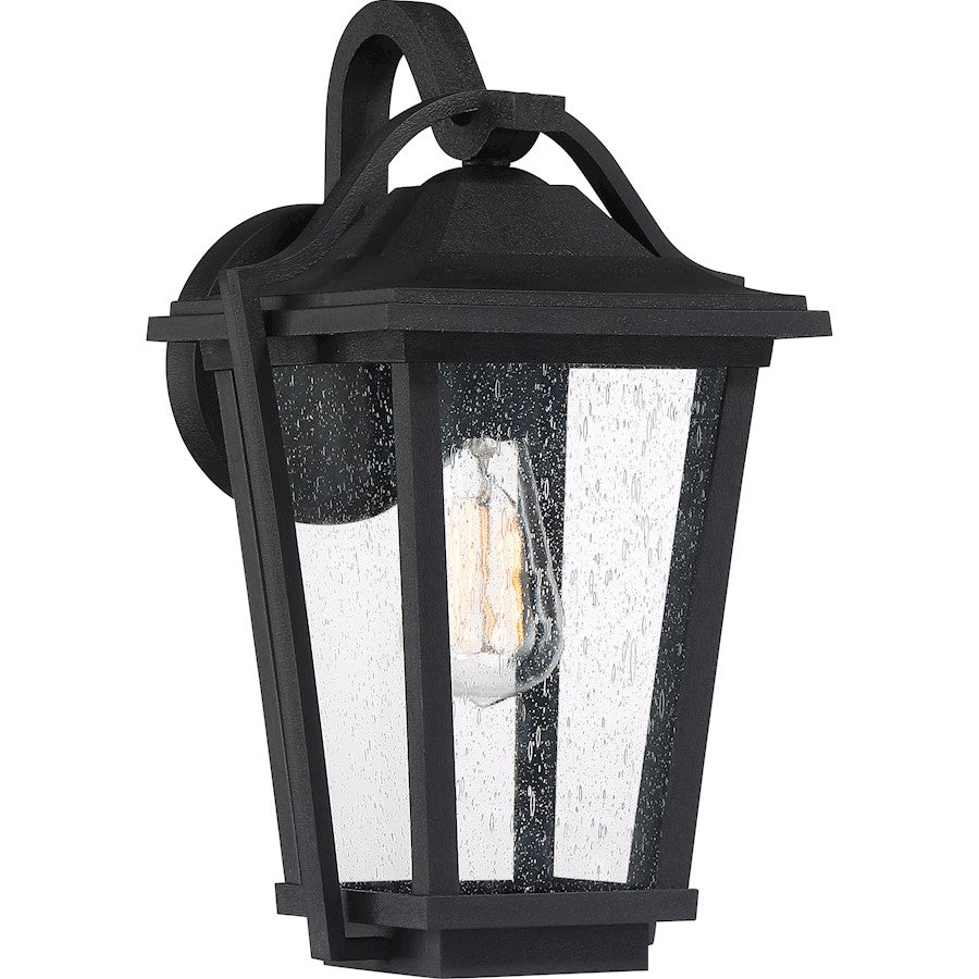 Quoizel Darius 1 Light Outdoor Lantern, Earth Black