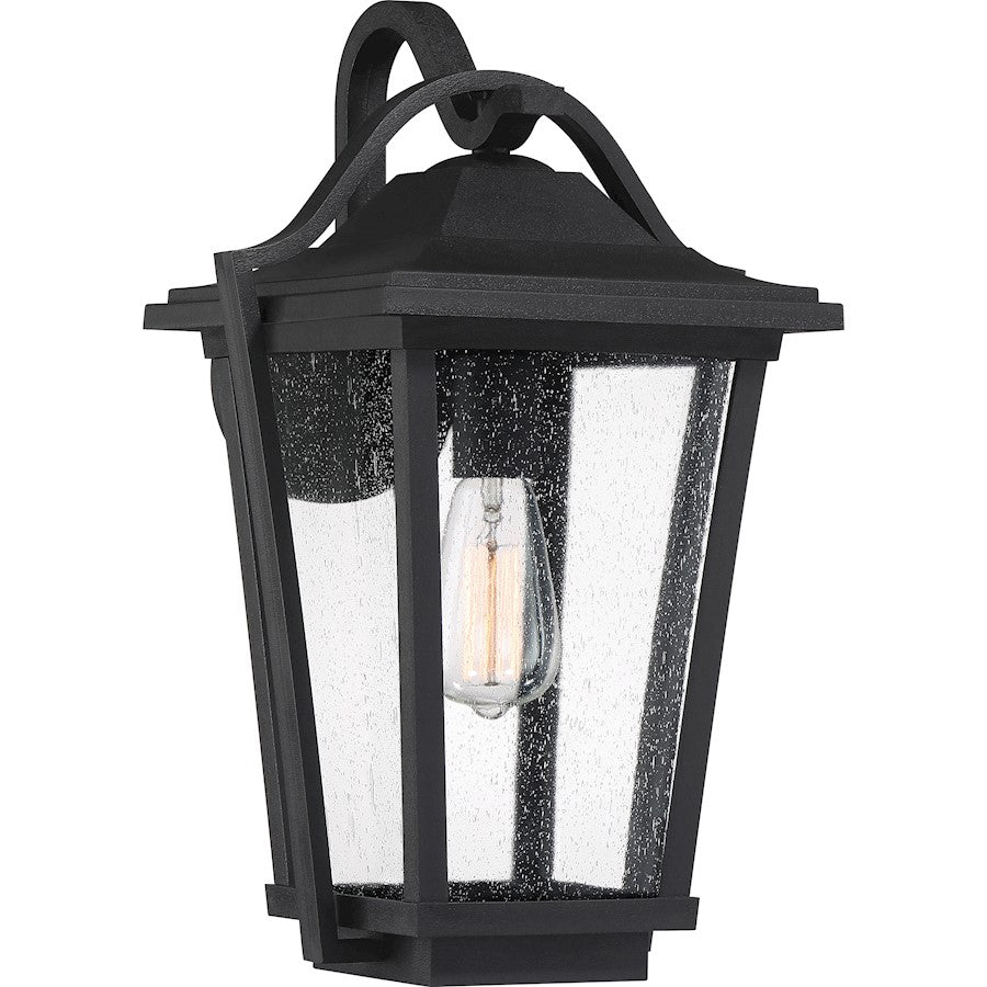 Quoizel Darius 1 Light Outdoor Lantern, Earth Black