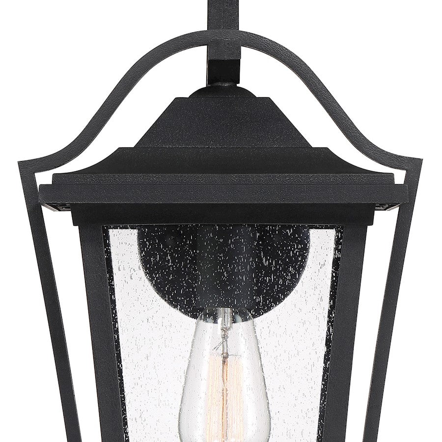 Quoizel Darius 1 Light Outdoor Lantern, Earth Black