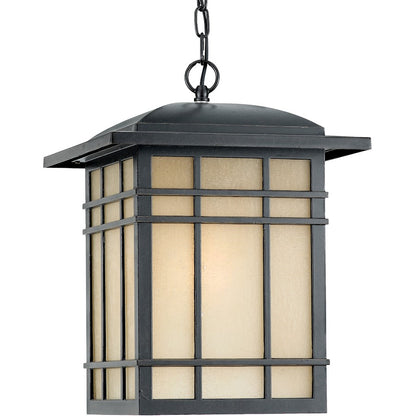 1 Light Large Outdoor Pendant, Bronze