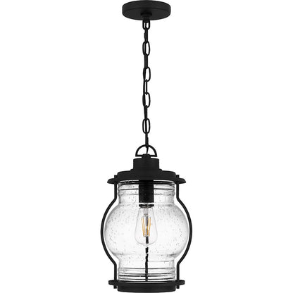 Quoizel Luther 1Lt Outdoor Hanging Lantern, Black/Clear Seedy Glass