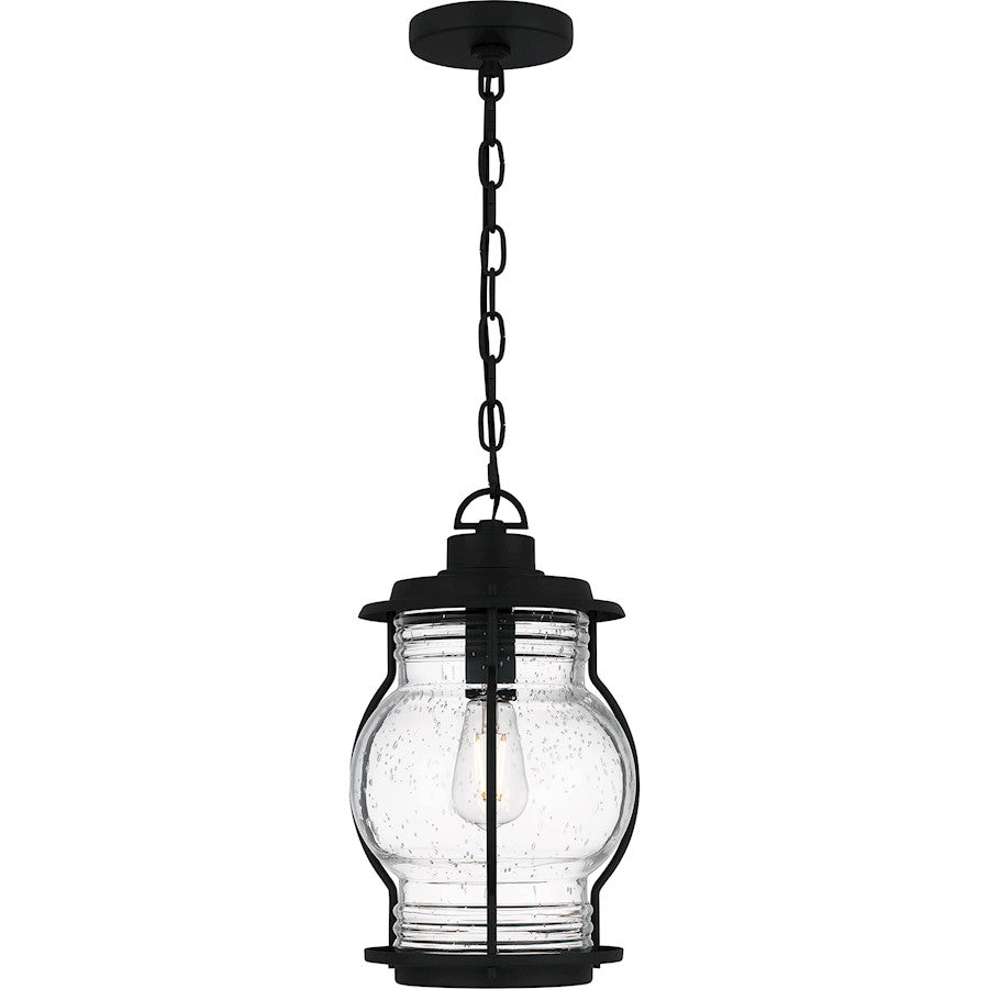 Quoizel Luther 1Lt Outdoor Hanging Lantern, Black/Clear Seedy Glass