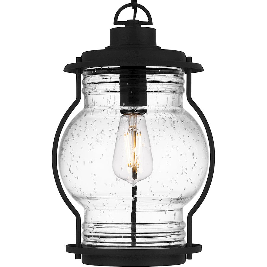 Quoizel Luther 1Lt Outdoor Hanging Lantern, Black/Clear Seedy Glass
