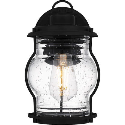 Quoizel Luther 1 Light 10" Outdoor Lantern, Black/Clear Seedy Glass
