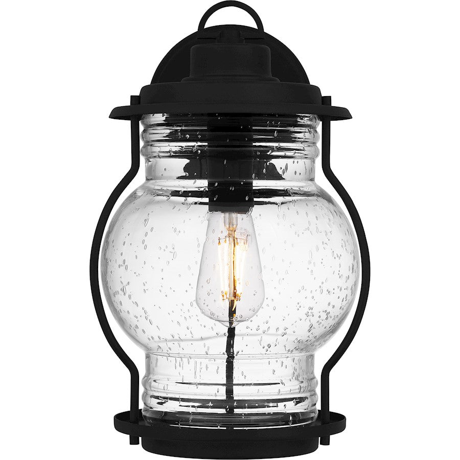Quoizel Luther 1 Light 15" Outdoor Lantern, Black/Clear Seedy Glass