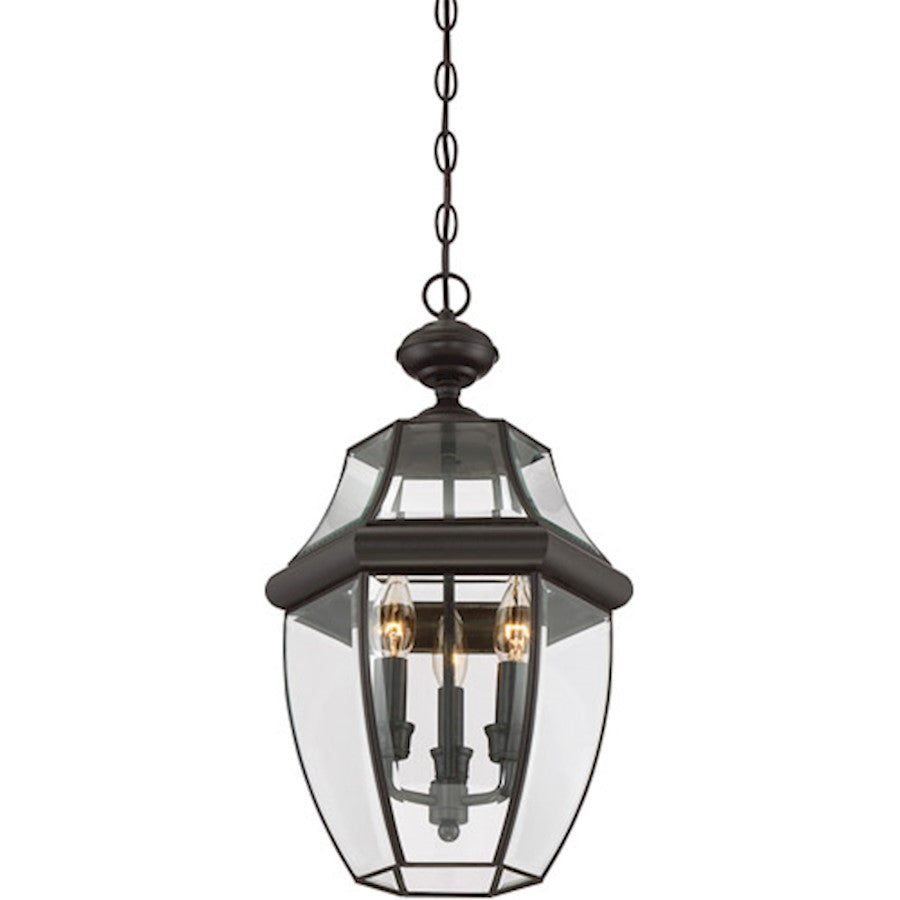 Quoizel Newbury 21in 3-Light Outdoor Lantern | Classic Medici Bronze Brass and Clear Beveled Glass | Front Door & Porch | Model NY1179Z