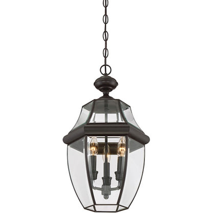 Quoizel Newbury 21in 3-Light Outdoor Lantern | Classic Medici Bronze Brass and Clear Beveled Glass | Front Door & Porch | Model NY1179Z