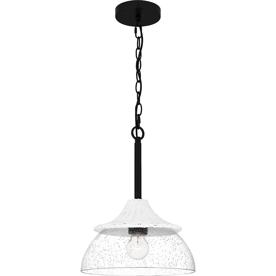 1 Light Mini Pendant, Matte Black