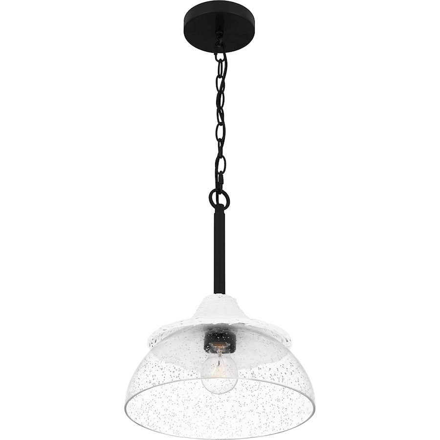 1 Light Mini Pendant, Matte Black