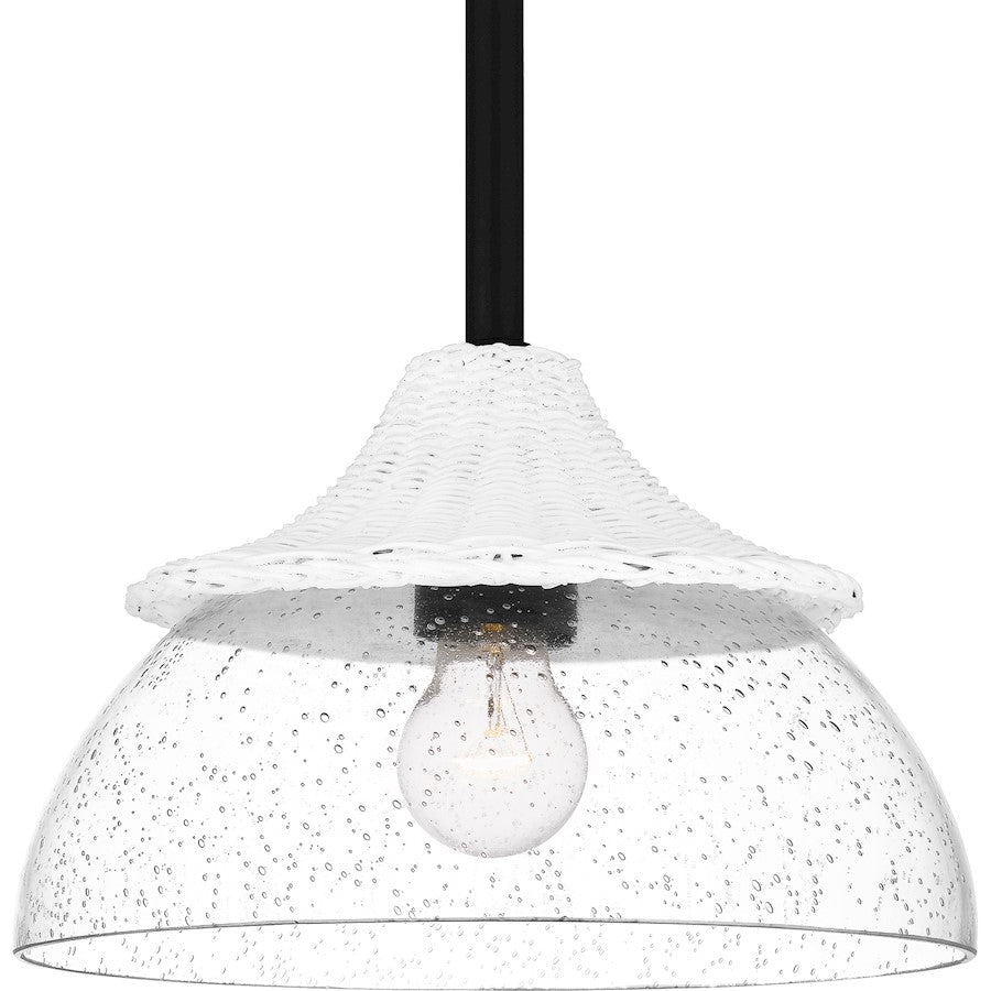 1 Light Mini Pendant, Matte Black